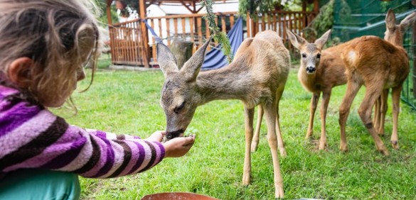 Záchranná stanice Pavlov